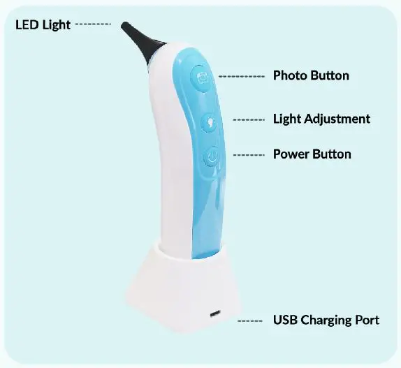 Remmie-KF-MFD9-VAL8-Dolphin-Otosco-2