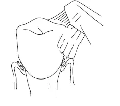 Nicefeel FC3680 Series Oral Irrigator FIG 1