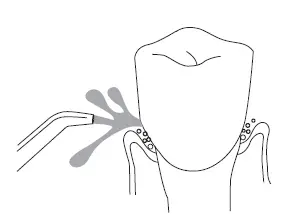 Nicefeel FC3680 Series Oral Irrigator FIG 3