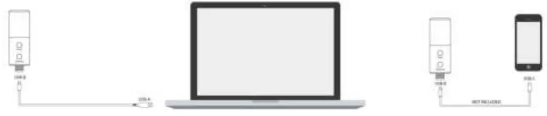 VONYX Studio Microphone Set Instruction Manual - MICROPHONE CONNECTION