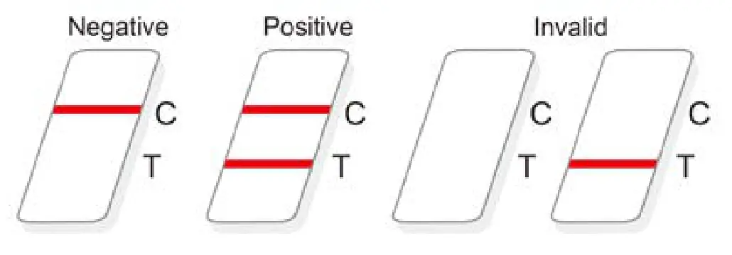 WANTAI SARS CoV 2 Ab Rapid Test - fig 1