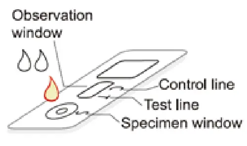 WANTAI SARS CoV 2 Ab Rapid Test