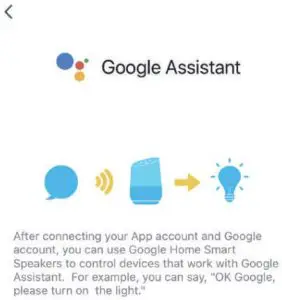 Google Assistant