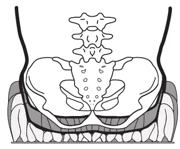 permobil-10965-Roho-Quadtro-Select-Cushion-Inflation-fig-13