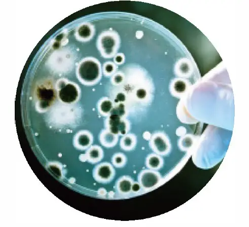 ALORAIR-Storm-SLGR-1600X-Dehumidifier-Owner-FIG-3