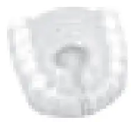 H2ofloss-HF-6-Water-Flosser-Portable-Dental-Oral-Irrigator-fig-9