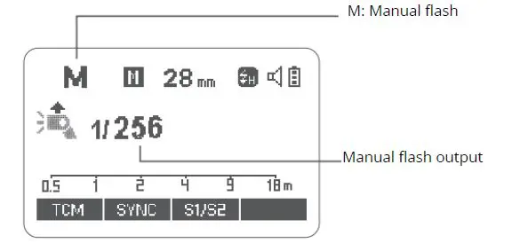 Godox TT685II-C Flash for Canon Cameras-fig-6