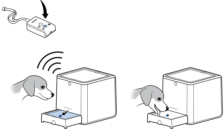 PetSafe-Teach-&-Treat-Remote-Reward-Trainer-fig-8