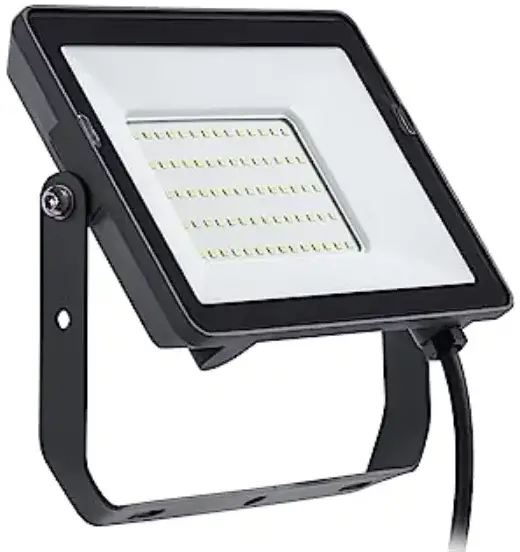 HOME ACCENTS Holiday 23LE11018 LED Floodlight
