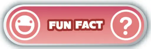 13 FUNCTIONAL BUTTONS