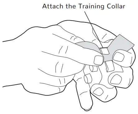 Free Spirit FS-TRN Remote Trainer - Box4