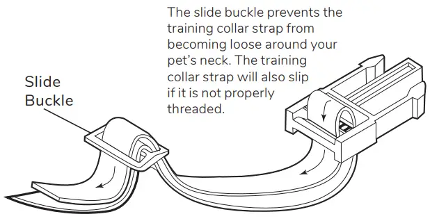 Free Spirit FS-TRN Remote Trainer - Box4