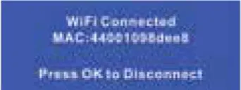 Blaupunkt BP 3.1 A Video Recorder - BP3. 1 A will indicated successful connection