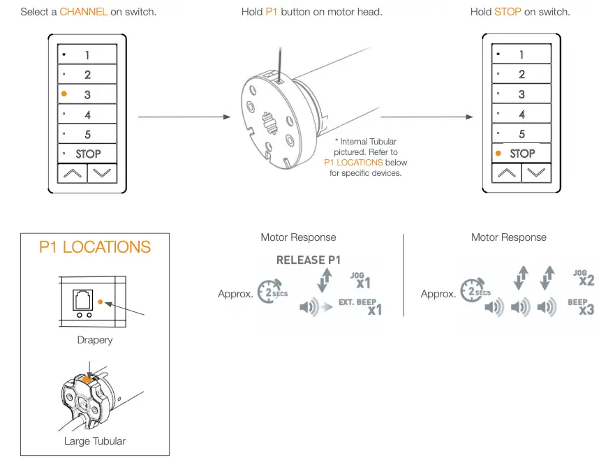 USING MOTOR P1 BUTTON