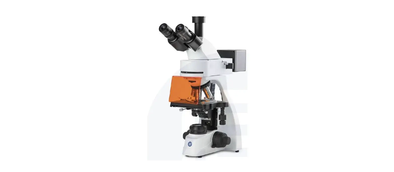 Euromex Bs.1152-eplph Bscope Phase Contrast Microscope Series User Manual