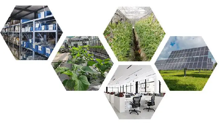 SONBEST SD5870B Carbon Dioxide Sensor-fig4