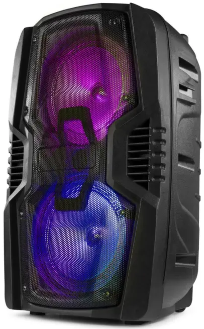 FENTON FT210LED Portable 2x10 Inch Party Speaker