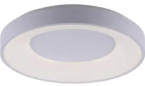 Paul-Neuhaus-14326-18-ANIKA-LED-Ceiling-Light-fig-profuct