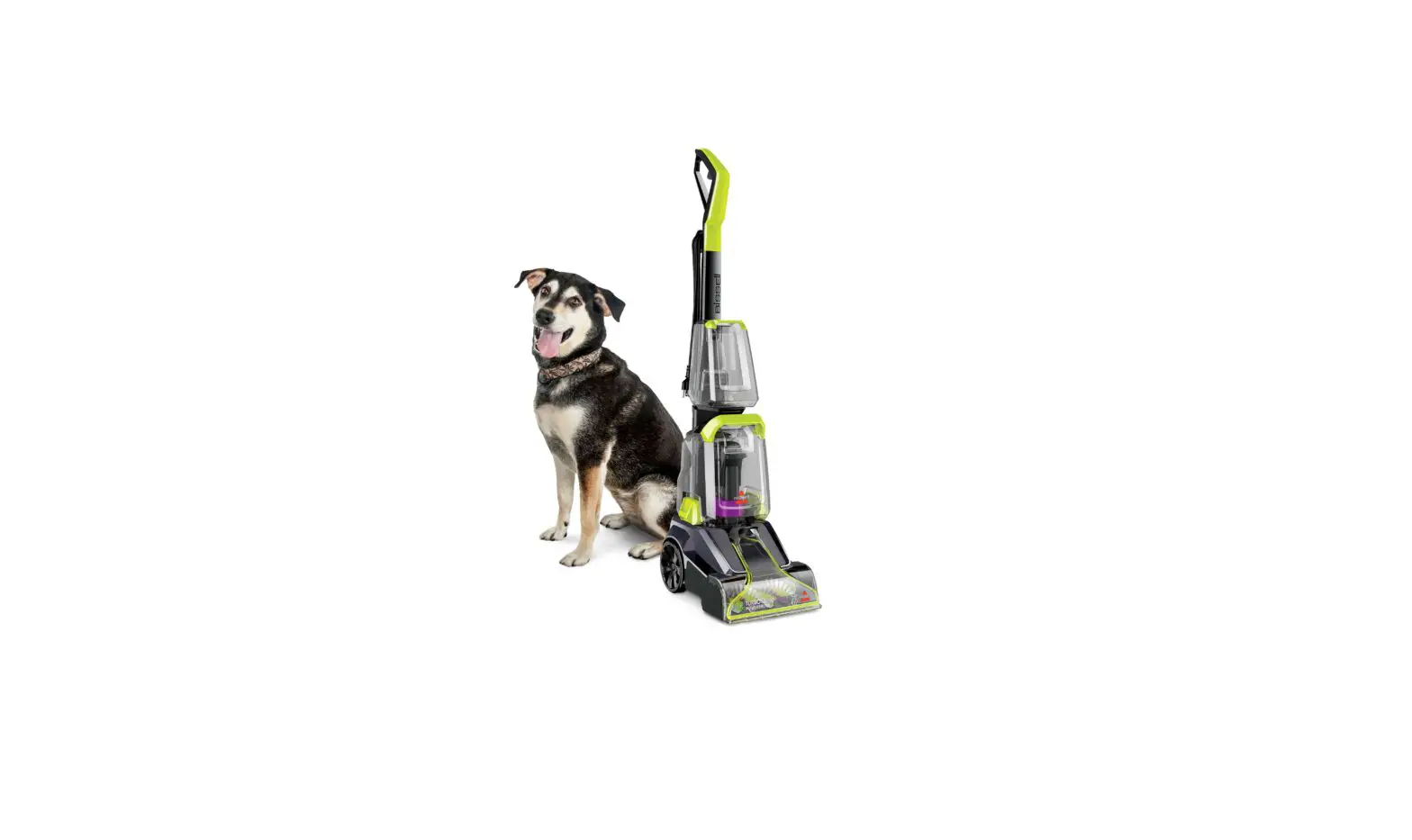 No Spray | No Spray | Turboclean™ Powerbrush Pet Carpet Cleaner