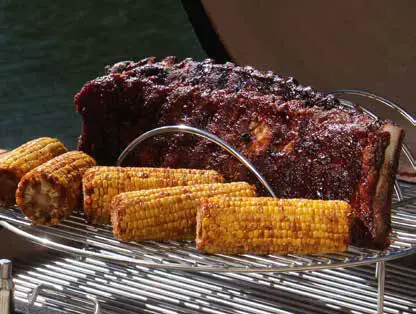 VISION GRILLS Kamado Grill -Cooking with your Kamado