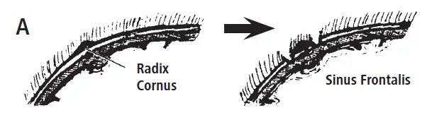 KERBL-1790-Buddex-Dehorner-Rechargeable-FIG-1