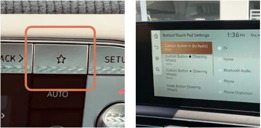 GENESIS G90 - Custom Button 1