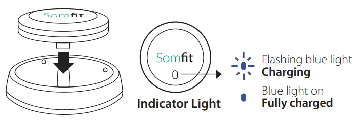 Compumedics-Somfit-Sleep-Signal-Tracker-fig-3