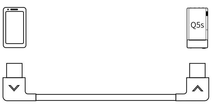 FiiO Q5s AMP Module AM3D Type C- Diagram