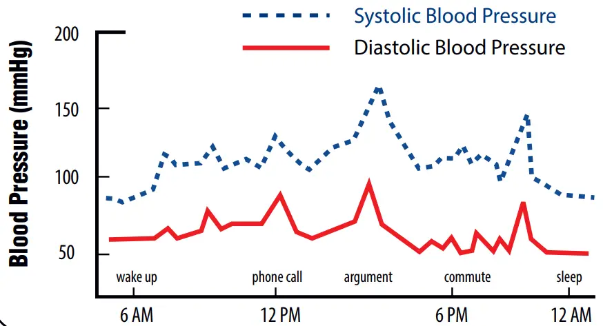 microlife BP3GQ1-3P Advanced Blood Pressure Monitor -Typical Fluctuation