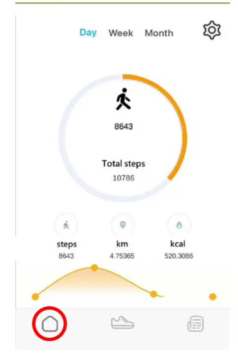 Footwear Recreation Technology Research Institute SGW01 Smart Footwear Pedometer - figure 2