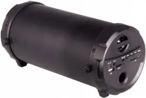 LASER Bluetooth Outdoor Speaker 1