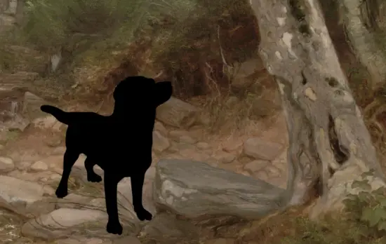 FAQs Where the Red Fern Grows