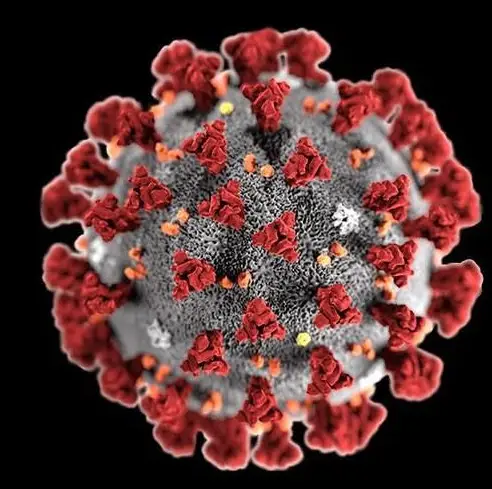 OHC- COVID-19- Antigen -Self -Test -product