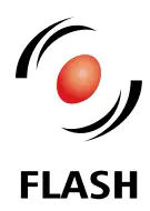flash logo