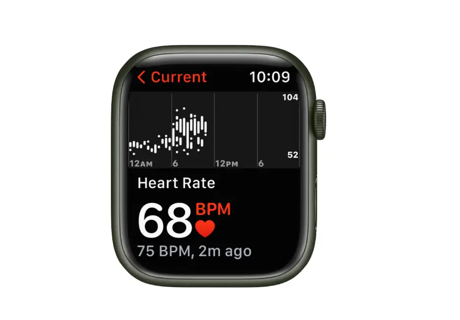 Check Your Heart Rate On Apple Watch
