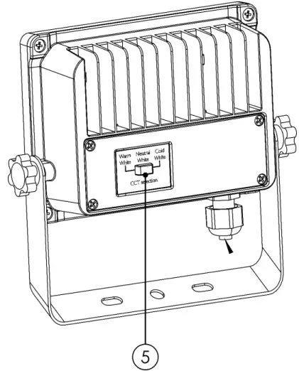 Description of the Device