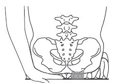 ROHO-MSP500488-Smart-Check-Set-Up-fig-8