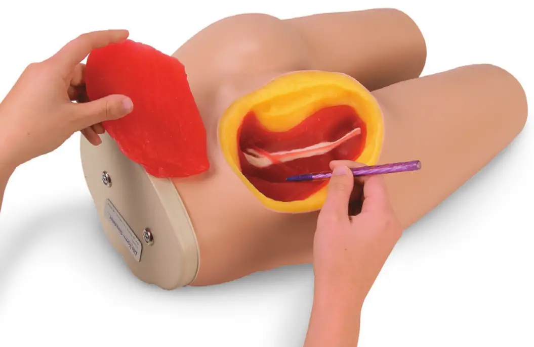 Nasco HEALTHCARE LF00961 Intramuscular Injection Simulator - Fig 1