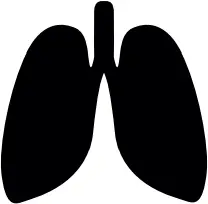 HEXOSKIN - Features 4