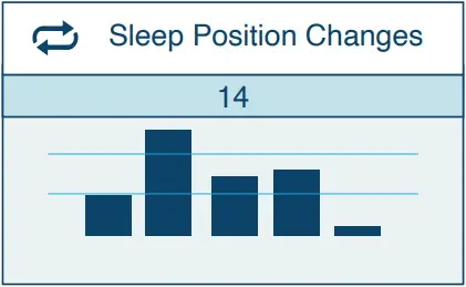 HEXOSKIN - Glossary 13