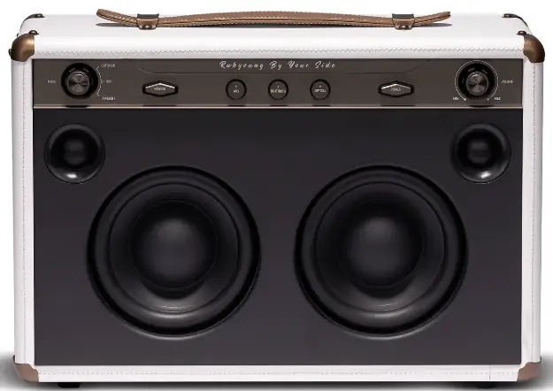 Rubyoung R630 High Power Hi-Fi Bluetooth Speaker-fig1