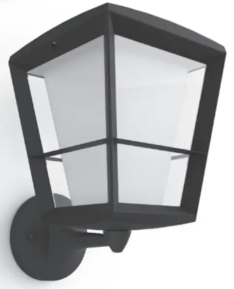 PHILIPS Econic Outdoor Wall Lamp