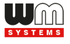 WM Logo
