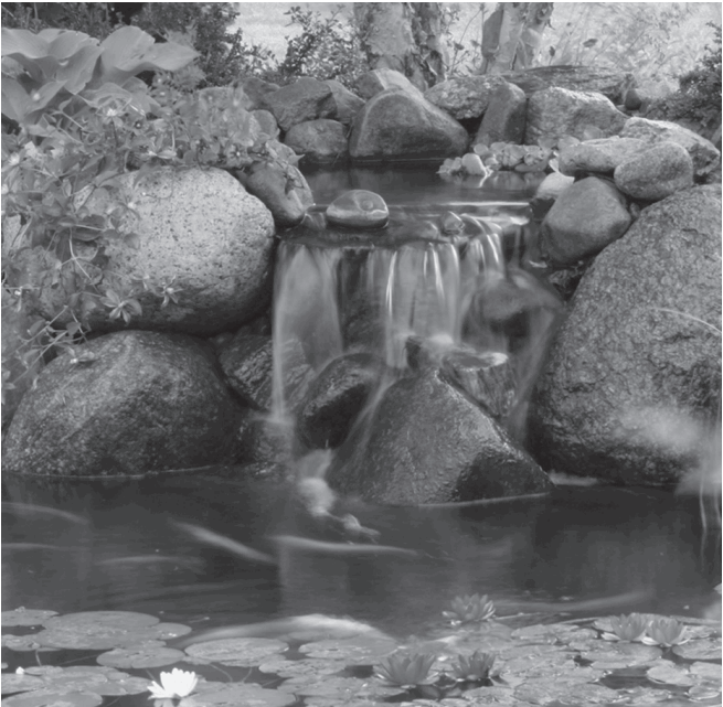 Aquascape 99774 BioFalls 1000 Filter - choosing