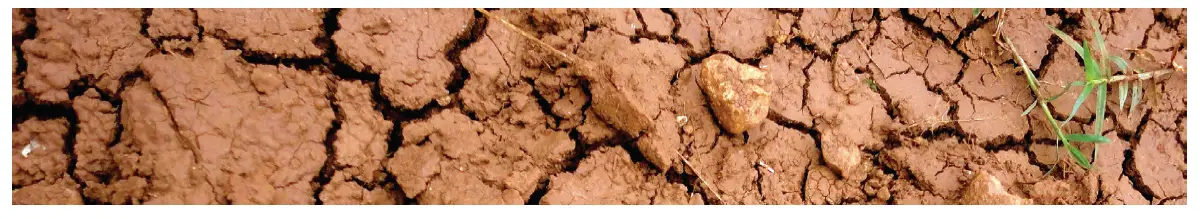 TOMAHAWK-JXPC50H-Jumping-Jack-Plate-Compactor-fig-9