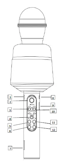 Marsk-MS06-Karaoke-Microphone-FIG-1