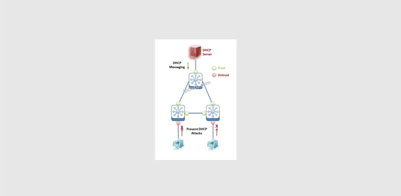 Fs S5500 Dhcp-snooping Configuration User Guide Fs S5500 Dhcp-snooping Configuration User Guide