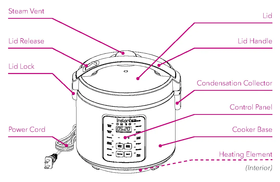 Zest Plus Rice & Grain Cooker
