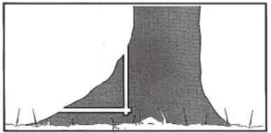 ANOVA MB600 21V 600W Mini Battery Chainsaw - reatment