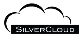 SilverCloud-YR300-Electri-clock-User